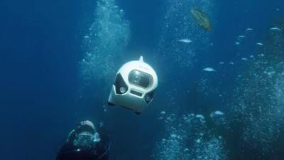 World’s First Bionic Wireless Robot Fish | The National Robotics ...