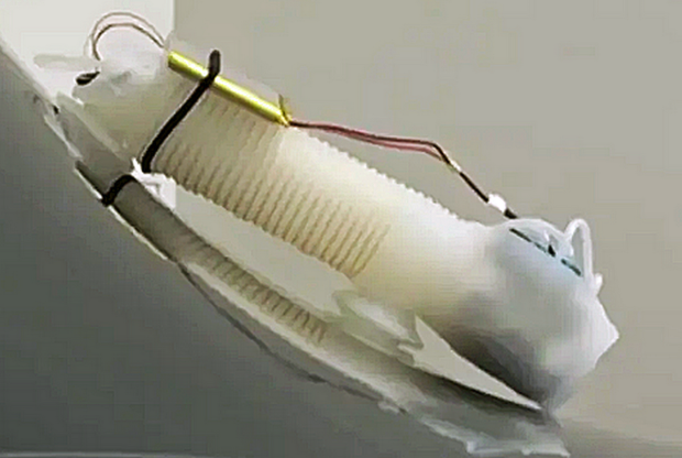 Robotic Inchworm to Diagnose and Repair Jet Engine Blades | The ...